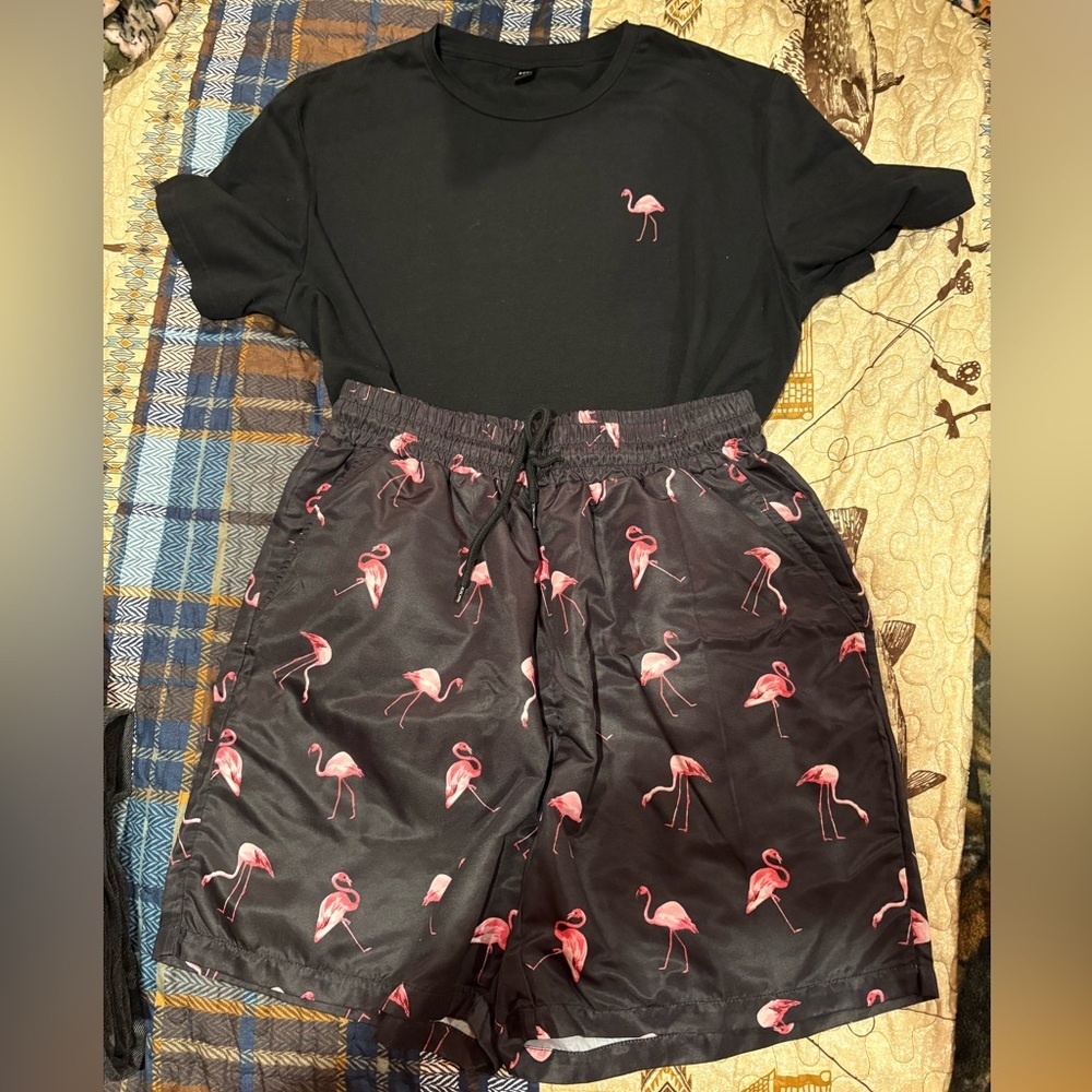 Shein Mens Flamingo Print Drawstring Waist Swim Trunks w/matching tshirt size L